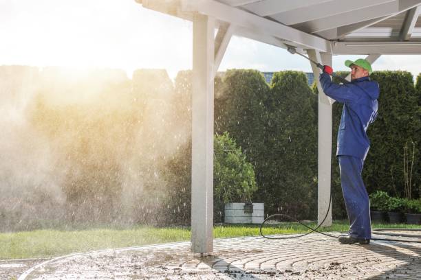 Best Graffiti Removal  in Neosho, MO