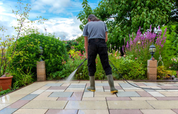 Best Sidewalk and Walkway Cleaning  in Neosho, MO